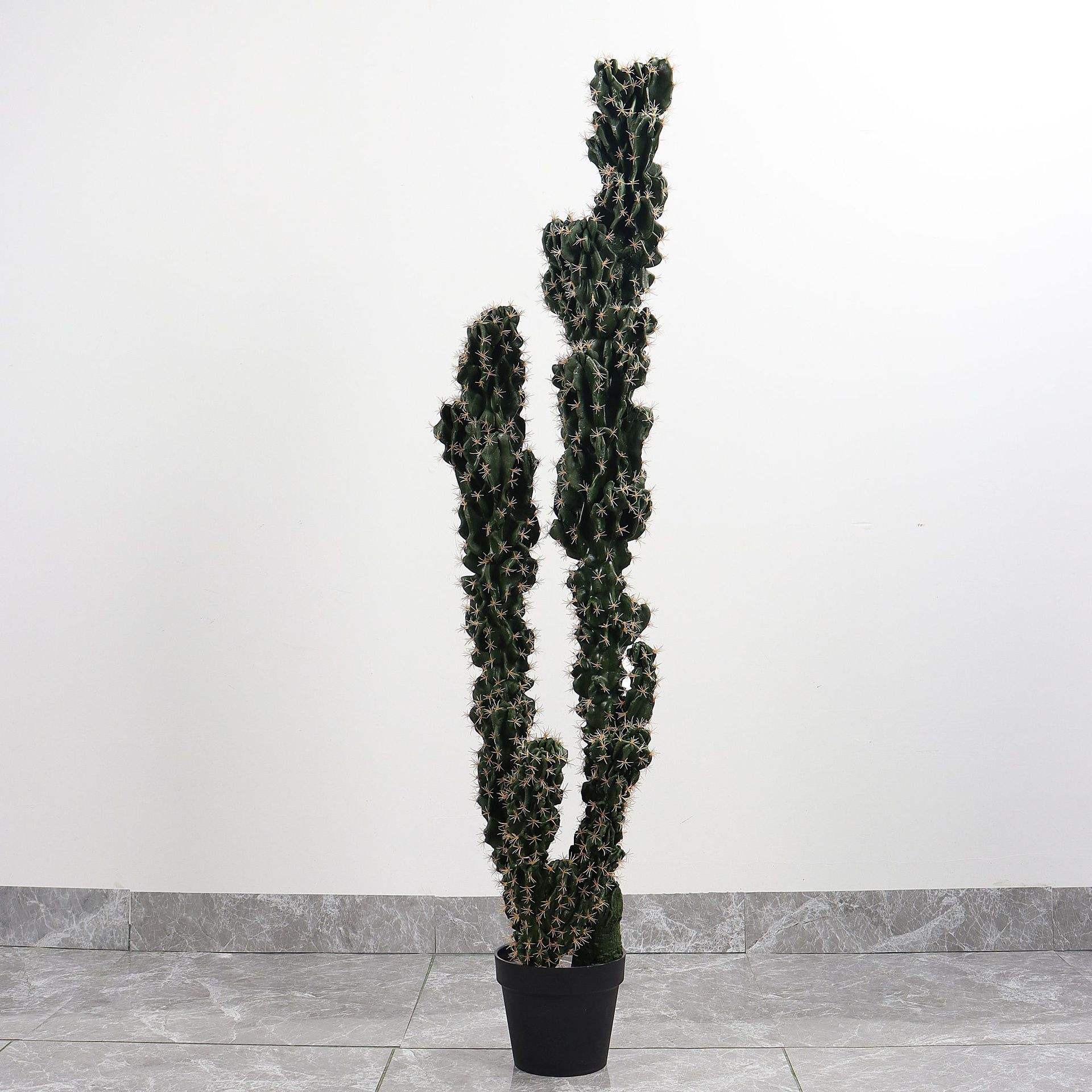 เงาสามเสามีหนามสีเหลือง150ซม