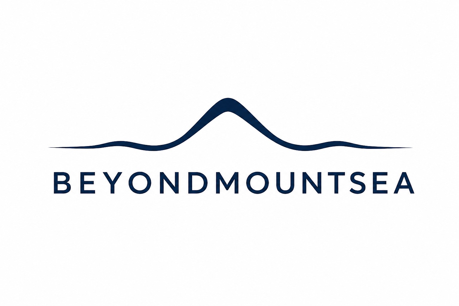 BeyondMountSea International Supply Chain Co., Ltd. logo