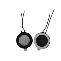 Mini haut-parleur magnétique interne de 15 mm pour appareils de sécurité intelligents et écrans LCD – Modèle 2