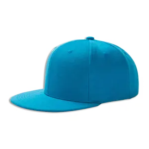 샘플 무료 도매 재미 있은 단어 트럭 운전사 모자 재미 있은 선물 조정 가능한 Snapback 야구 모자 사용자 정의 장착 모자