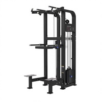 Entrenador de Flexiones Ajustable y Resistente de Acero con Peso de 138 kg para Entrenamiento de Espalda, Brazos y Pecho, Uso Comercial