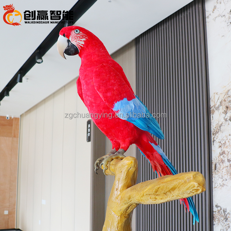 Animatronic loro-2