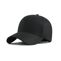 Premium op maat gemaakte kant-en-klare fruit baseball caps met handborduurwerk, 3D-borduurwerk, 100% katoen, ongeëvenaarde kwaliteit, sportief, Bangladesh