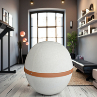 Ballon d'exercice 65CM pour Yoga Pilates & Gym Housse lavable avec tissu amovible pour usage domestique