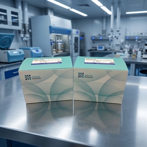 Kit de Dissolution des Tissus Cérébraux Baiaoyikang pour Souris (10 Tests) pour ScRNA-seq & Flow BA3330 - Product Image 2