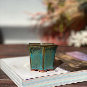 Mini pot de plantes succulentes pour décoration de jardin, vente en gros, avec trou de Drainage - Product Image 2