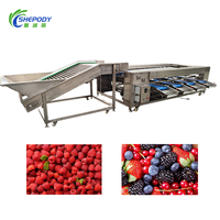 Shepody Automatische Fruit Blauwe Bes Kersen Sorteermachine Vibratie Sorteer- en Verpakkingsapparatuur Diepvries Aardbeien Formaat Sorteermachine
