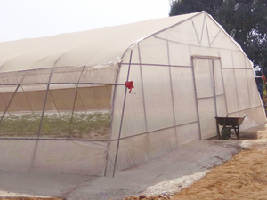 Abri <span class=keywords><strong>de</strong></span> <span class=keywords><strong>pluie</strong></span> à faible coût pour serre agricole avec double couche pour la culture <span class=keywords><strong>de</strong></span> légumes - Product Image 6