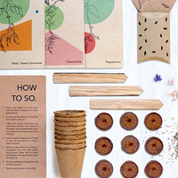 Kit de culture de plantes écologique, ensemble cadeau de jardinage, facile à démarrer, cultivez vos propres fleurs pour les abeilles