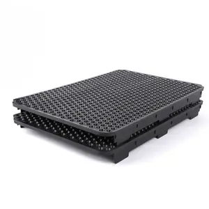 LT303 658 Hole Plastic Bean Seeding Box Germination Trays Seed Sprouter Tray Nursery Seeding Flat Trays