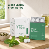 OEM Energy Focus Mints, menthes naturelles, caféine, L-théanine, sans sucre, menthe verte, complément alimentaire, vente en gros, en vrac, étiquette privée