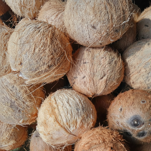 Noix de coco séchée: idéale pour les smoothies et les desserts - Product Image 1