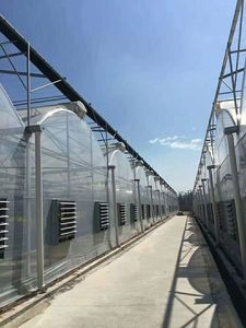 Grande serre agricole Construction en film d'acier avec couvercle en verre Cultiver des légumes Fruits Fleurs Serres connectées - Product Image 3