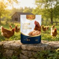 Additifs Alimentaires Personnalisables pour Volailles : Améliorez le Taux de Fertilisation et l'Efficacité de Ponte – Optimiseur d'Œufs de Poule en Vrac