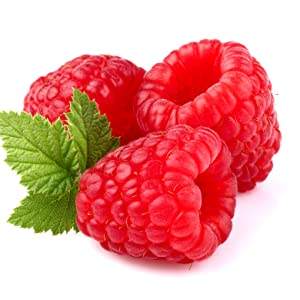 Oem Afslanken <span class=keywords><strong>Gummy</strong></span> <span class=keywords><strong>Garcinia</strong></span> Cambogia Gummies <span class=keywords><strong>Garcinia</strong></span> - Product Image 6