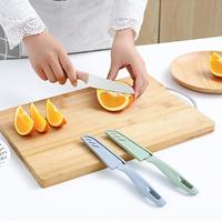 Multifunctionele Keukengadget Roestvrijstalen Fruit-En Groentemes Met Plastic Handvat Fabrieksprijs Pp-Gereedschappen