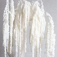 Lange Caudatus Geconserveerde Minnaar 'S Traan Hangende Amaranthus Voor Decoratie Gedroogde Gebleekte Witte Decoratieve Bloemen & Kransen Bruiloft