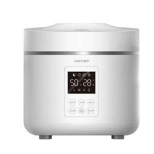 Hotsy intelligente giapponese e coreano popolare a vapore ad alta temperatura disinfezione acqua umidificatore riscaldato nebbia 5L sterilizzazione bollente - Product Image 2