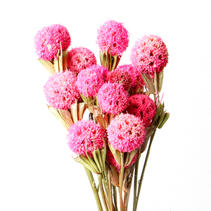 Lulutong ventes directes nouveau Style chinois bricolage Arrangement de fleurs matériaux <span class=keywords><strong>Bouquet</strong></span> de fleurs séchées pour la fête des mères - Product Image 3