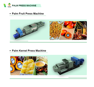 Palmiye Yağı Çıkarma Makinesi Palmiye Yağı İşleme Makinesi Palmiye Meyvesi Harman Makinesi - Product Image 3