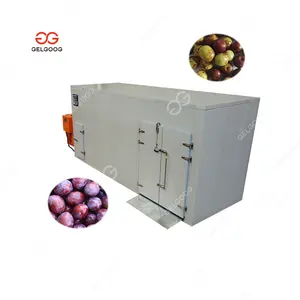 Hot Selling Honey Dew Melon Loquat Dryer Dehydrator Jujube Plum Date Drying Machine