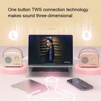 Pemutar Musik Retro Mini Speaker Bt DW21 Klasik Portabel Dekorasi Speaker Nirkabel Suara Stereo Rumah Subwoofer untuk Luar Ruangan