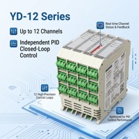 Controlador de Temperatura PID de 12 Canales Ydkz Ethernet Modbus TCP RS485 RTU Pt100 Termopar Tipo K E J N Riel DIN Alimentación DC24V
