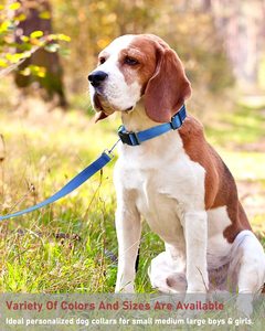 犬の首輪小型犬のためのカスタム反射耐久性のある天然生地エコフレンドリー - Product Image 6