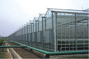 Giá Thấp 10 Năm Bảo Hành 8Mm 10Mm 12Mm Chống Uv Tráng Hiện Đại Thân Thiện Với Môi Ánh Sáng Mặt Trời Roof Bảng Điều Chỉnh Tấm <span class=keywords><strong>Polycarbonate</strong></span> - Product Image 4