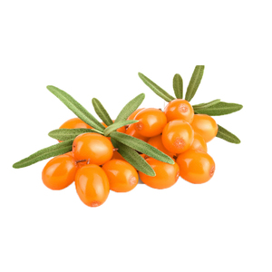 Harga terbaik Hippophae Rhamnoides ekstrak buah bubuk beri <span class=keywords><strong>Buckthorn</strong></span> laut - Product Image 2