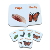 Vente en gros de cartes Flash personnalisées avec des animaux et des insectes pour enfants, impression de jeux éducatifs pour enfants