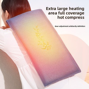 Bron Fabriek Elektrische Verwarming Grof Zout Zak Warm Comprimeren Warm Paleis Riem Schouderhals Heuptas Elektrisch Seksproduct - Product Image 4