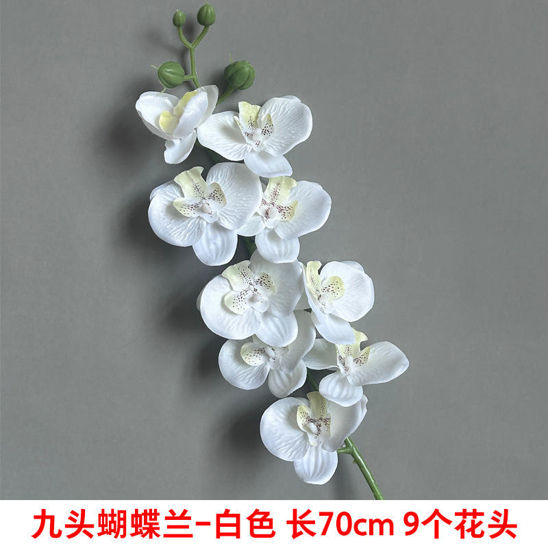 สั้น9ส้อม Phalaenopsis สีขาว