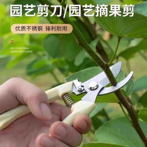 กรรไกรตัดกิ่งสแตนเลสนำเข้าจากเยอรมนี ด้ามจับพลาสติก สำหรับตัดแต่งต้นไม้ผลไม้ ใช้ในสวน - Product Image 2
