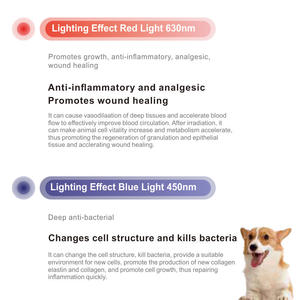 อุปกรณ์บำบัดด้วยแสง VetLed 26LED สีแดง น้ำเงิน อินฟราเรด สำหรับสุนัข ดูแลผิวหนังสัตว์เลี้ยง อุปกรณ์ฟื้นฟูสุขภาพสัตว์ - Product Image 2