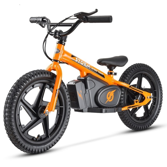 Customized High Power 16 & 12 Inch Kids Electric Balance Bike Outdoor Can Am Ride Ordinary Pedal Customizable Color for Children