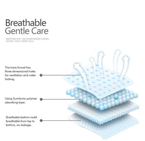 Wisper Pad phụ nữ dùng một lần hoàn toàn tự động tùy chỉnh Cherish rael thai sản vệ sinh khăn ăn phụ nữ làm máy - Product Image 6