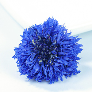 Shi <span class=keywords><strong>Che</strong></span> Ju Té saludable Aciano azul seco para té - Product Image 4