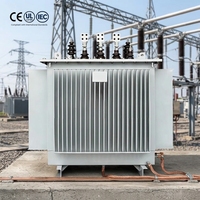 Dış Mekan Korozyona Dayanıklı Üç Fazlı Flyback 11KV Yağlı Tip Transformatör Güneş Enerjisi Santrali İçin