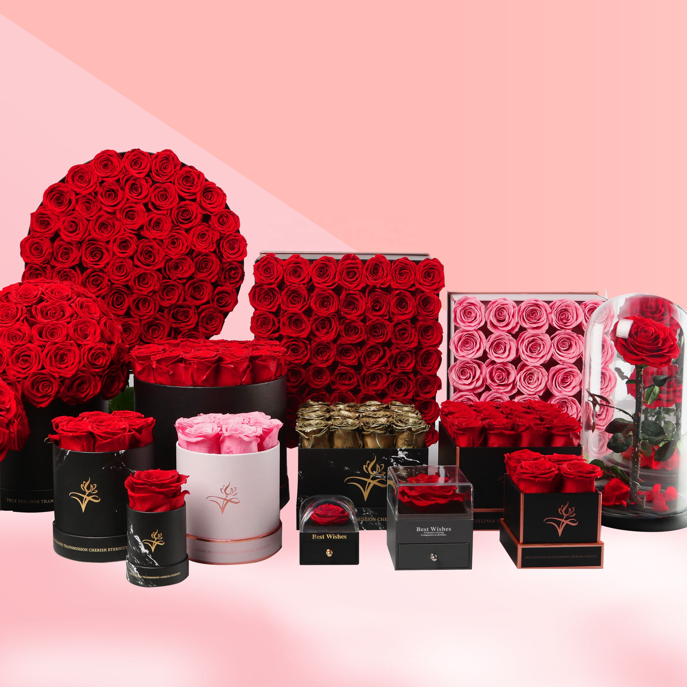 Vraies roses naturelles éternelles, éternelles, immortelles pour toujours, éternelles et préservées, tête de fleur dans une boîte-cadeau pour cadeau de la Saint-Valentin