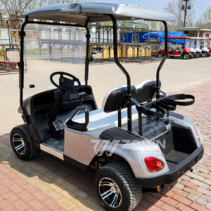 Carrito de golf eléctrico de 2 plazas al por mayor de fábrica para resort, hotel, granja, patrulla, colores personalizados, precio de fábrica - Product Image 1