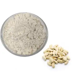 Good solubility White Kidney Bean Extract Powder/Phaseolus Vulgaris Extract