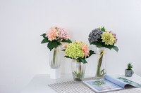 Roses et fleurs préservées réalistes pour mariage - Roses éternelles