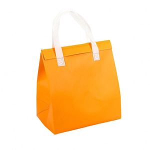 Customized Reusable Insulated Solar Panel Fashion Letter Lunch Bag <b>Cooler</b> <b>Backpack</b> Waterproof Laminated Aluminum Foil - Product Image 1