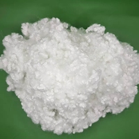 HCS 7D*32MM HCS PSF Staple Fiber Fluffy Warm Anti-Pressure Eco Friendly Synthetic Fiber for Household Textile Filling Products