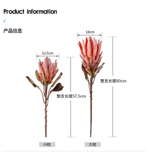 Exquisita Protea de Primera Calidad para Decoraciones de Eventos de Lujo, Perfecta para Decoraciones de Bodas Impresionantes y Decoraciones de Fiestas Memorables - Product Image 4