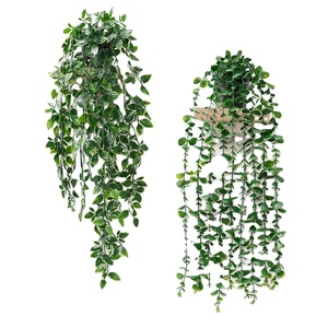 <span class=keywords><strong>Plantes</strong></span> artificielles suspendues en plastique vert LUYI, écologiques, <span class=keywords><strong>pour</strong></span> décoration murale intérieure, Thanksgiving, mariage - Product Image 1