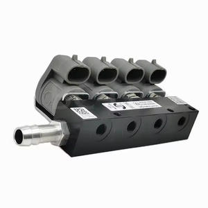 Kit Koil 4 Silinder Rail Injektor Bensin ke Gas LPG/CNG Abu-abu <span class=keywords><strong>2</strong></span> Ohm untuk Mesin Mobil - Product Image 4