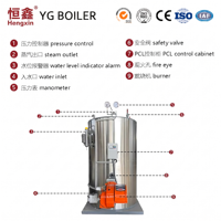 Generator Uap Vertikal Berbahan Bakar Minyak & Gas untuk Industri Pengolahan Makanan dengan Sertifikasi CE/EAC dan Sistem Kontrol Otomatis