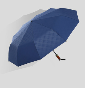<span class=keywords><strong>Parapluie</strong></span> <span class=keywords><strong>pliant</strong></span> pour <span class=keywords><strong>homme</strong></span> <span class=keywords><strong>haut</strong></span> <span class=keywords><strong>de</strong></span> <span class=keywords><strong>gamme</strong></span> SD avec manche en bois massif et lettrage à dix os coupe-vent automatique <span class=keywords><strong>de</strong></span> publicité commerciale - Product Image 6